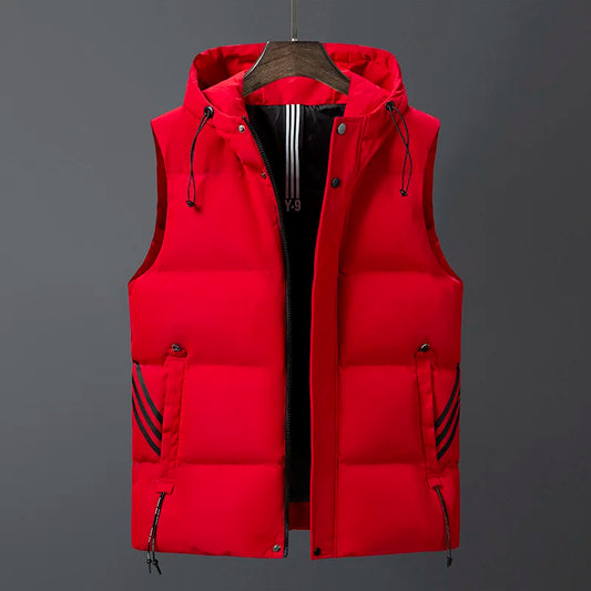 Zeno Vest